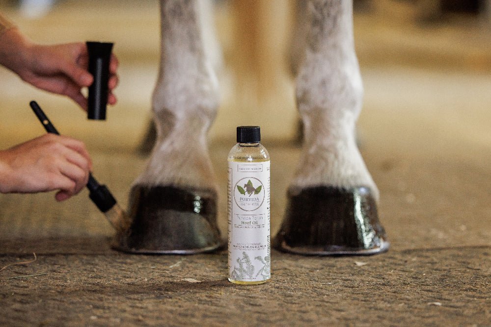 Grooming Products - Equiluxe Tack