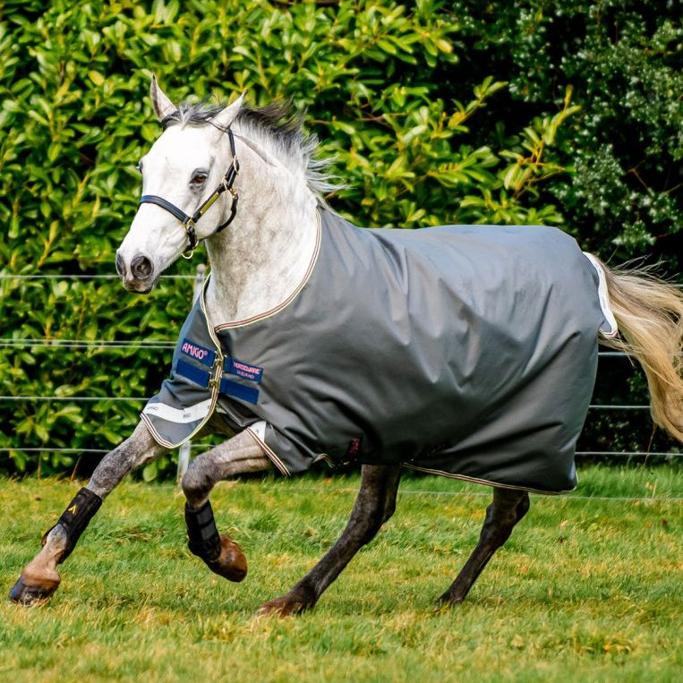 Horse Blankets & Sheets - Equiluxe Tack