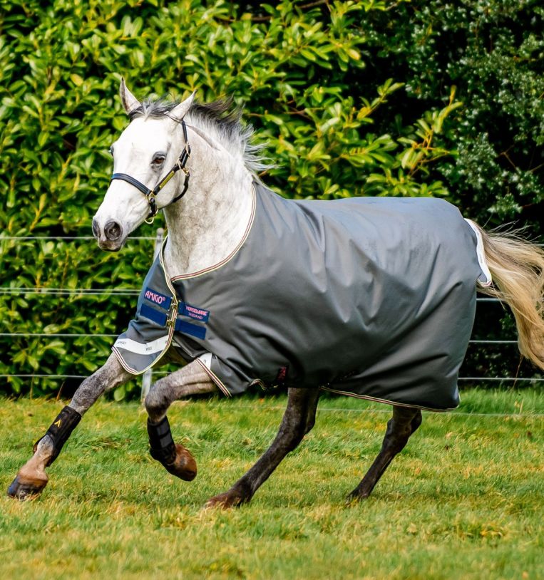 Horse Blankets & Sheets - Equiluxe Tack