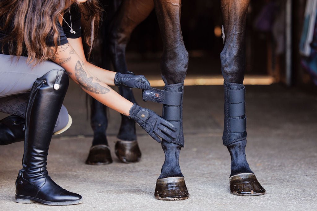 Horse Boots - Equiluxe Tack