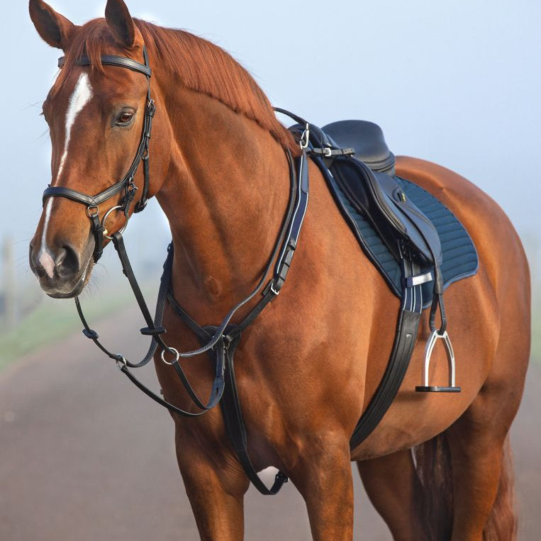 Running & Standing Martingales - Equiluxe Tack