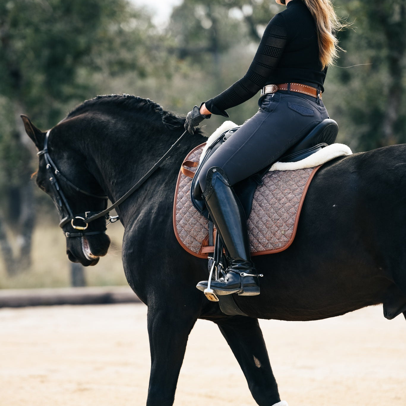 Saddle Pads - Equiluxe Tack