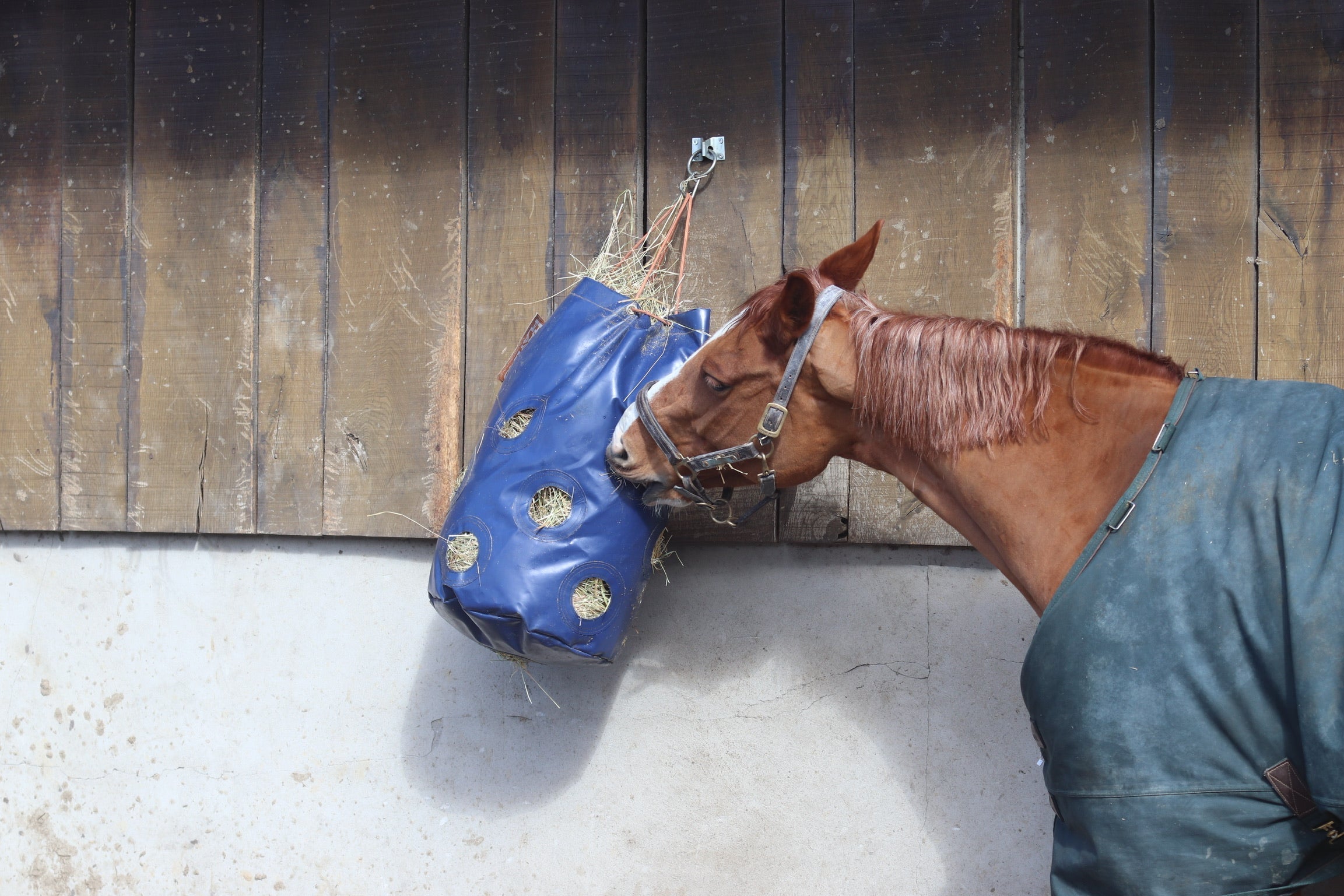 Slow Feed Hay Bags - Equiluxe Tack