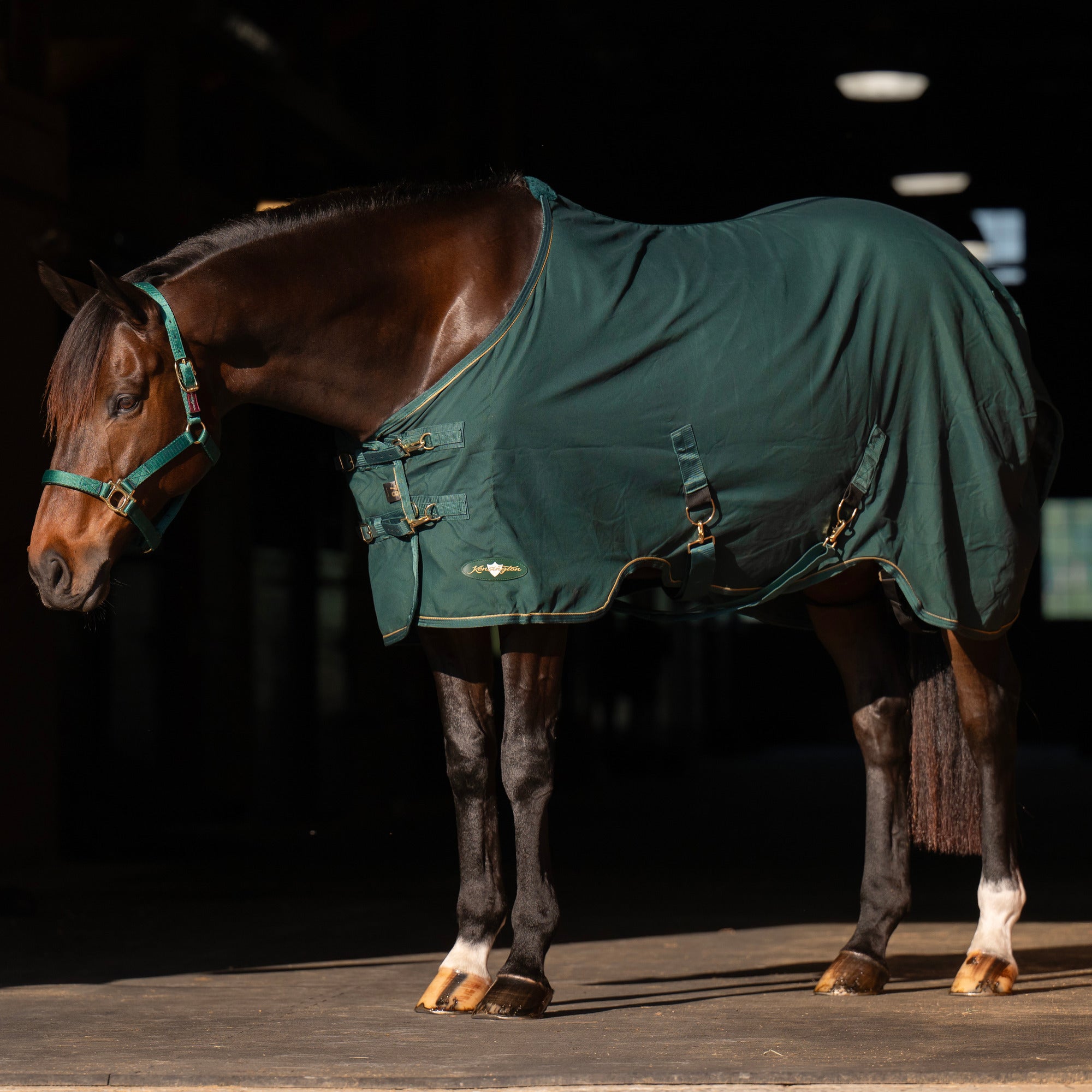 Stable Blankets - Equiluxe Tack