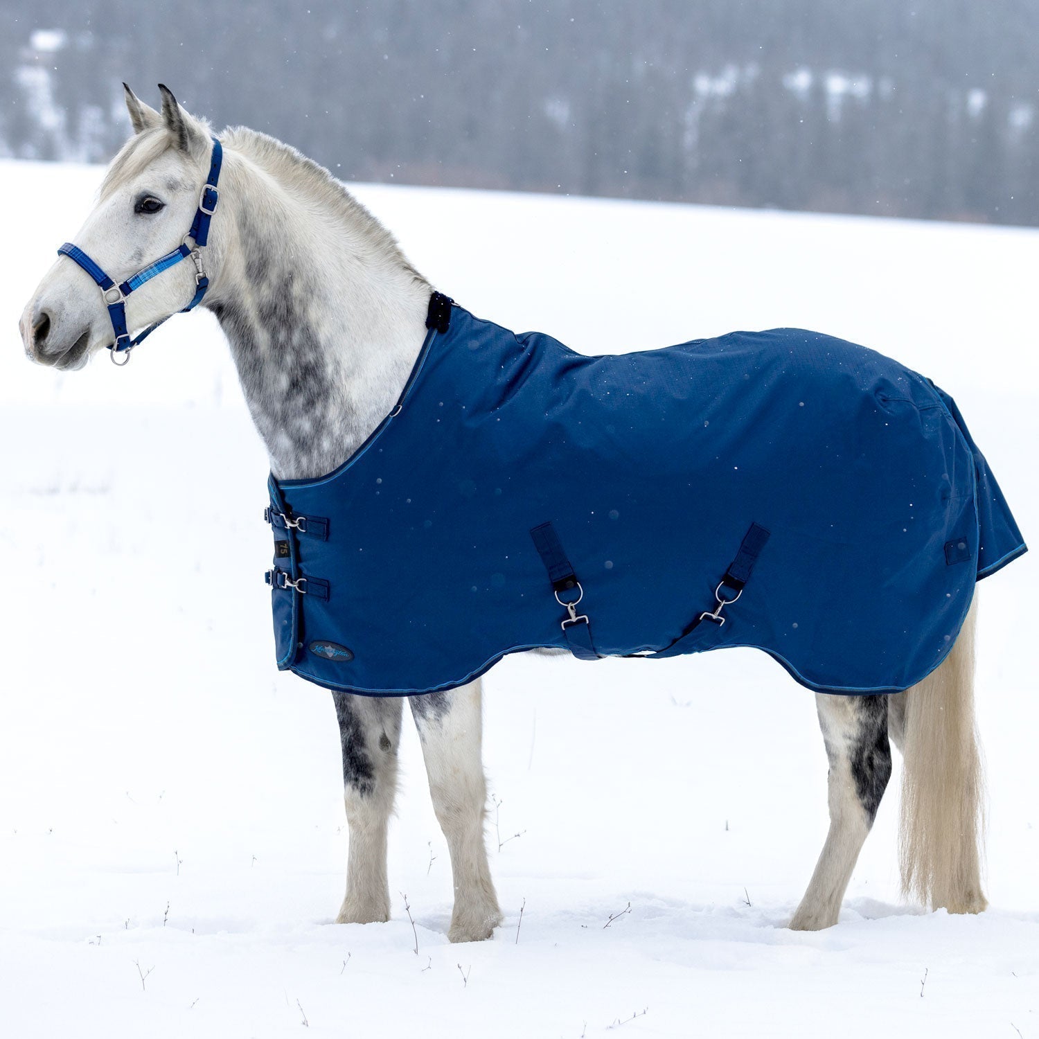 Winter Blankets - Equiluxe Tack