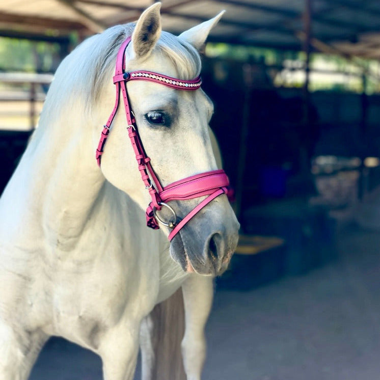 Halter Ego The Barbie Pink Leather Snaffle Bridle