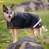 1200Denier "180G" Medium Weight Waterproof & Breathable Dog Coat - Kensington Protective Products - Equiluxe Tack