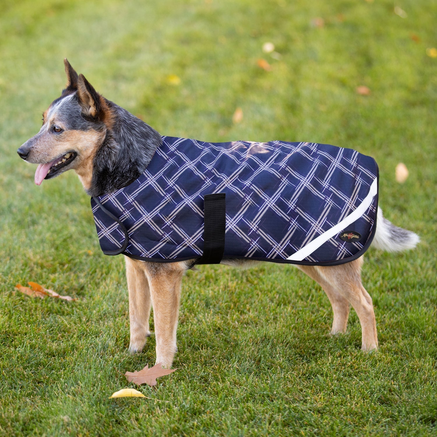 1200Denier "180G" Medium Weight Waterproof & Breathable Dog Coat - Kensington Protective Products - Equiluxe Tack