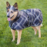 1200Denier "180G" Medium Weight Waterproof & Breathable Dog Coat with Chest Wrap - Kensington Protective Products - Equiluxe Tack