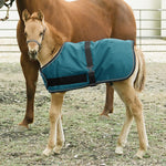 1200Denier Adjustable Foal "180G" Medium Weight Waterproof & Breathable Winter Turnout - Kensington Protective Products - Equiluxe Tack