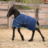 1200Denier Adjustable Foal "180G" Medium Weight Waterproof & Breathable Winter Turnout - Kensington Protective Products - Equiluxe Tack