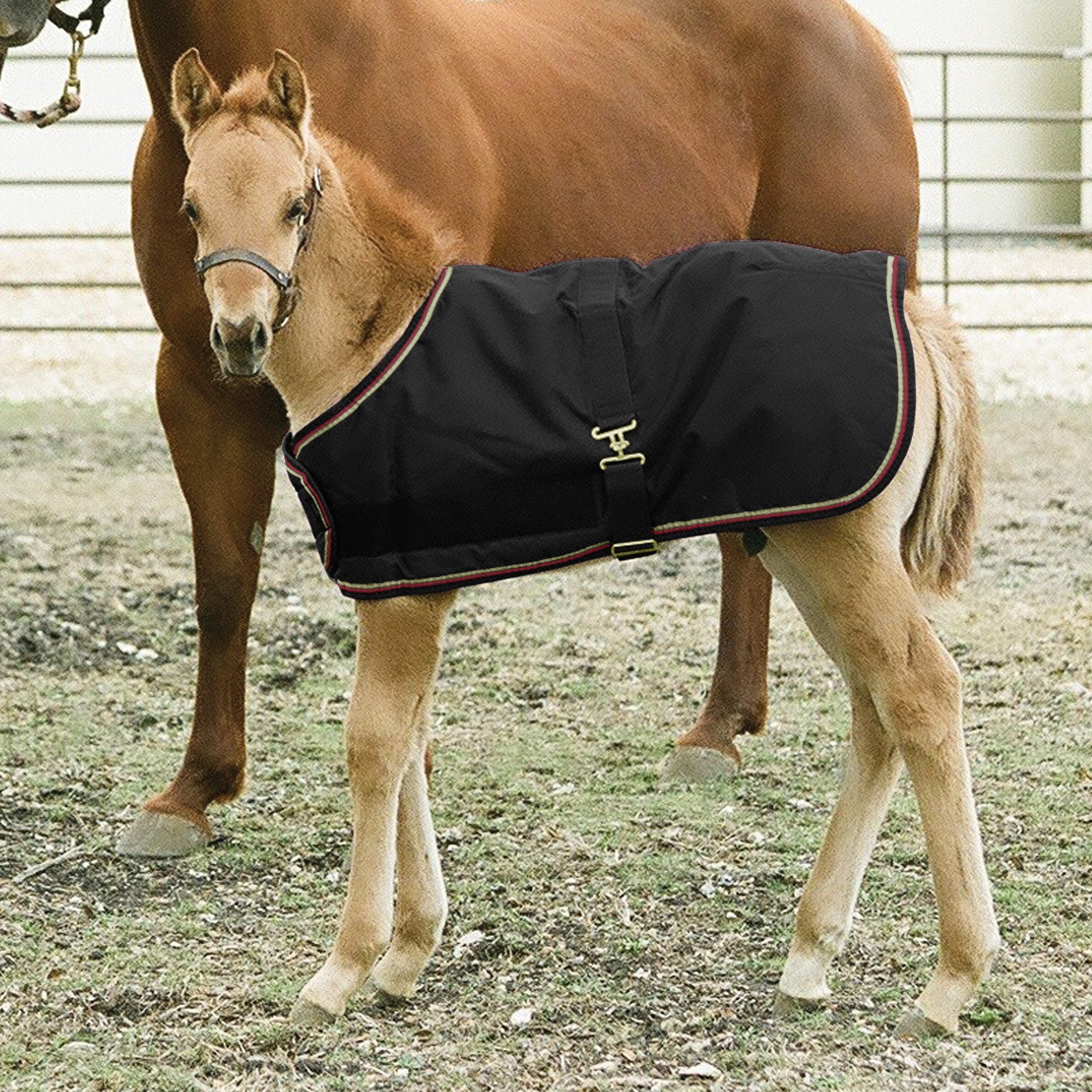 1200Denier Adjustable Foal "180G" Medium Weight Waterproof & Breathable Winter Turnout - Kensington Protective Products - Equiluxe Tack