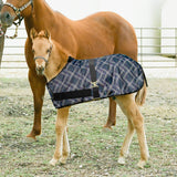 1200Denier Adjustable Foal "180G" Medium Weight Waterproof & Breathable Winter Turnout - Kensington Protective Products - Equiluxe Tack