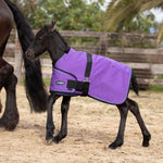 1200Denier Adjustable Foal "180G" Medium Weight Waterproof & Breathable Winter Turnout - Kensington Protective Products - Equiluxe Tack