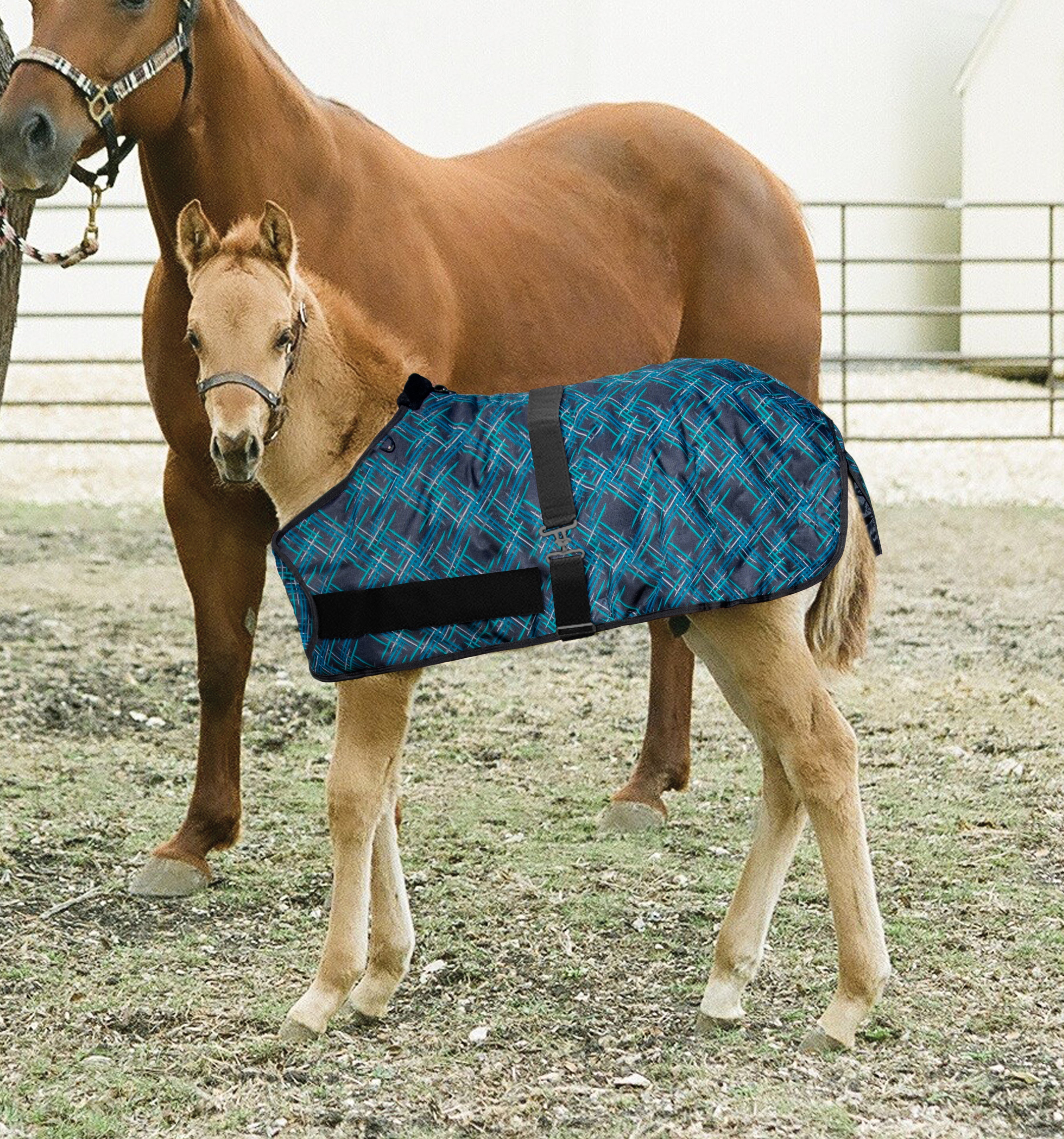 1200Denier Adjustable Foal "180G" Medium Weight Waterproof & Breathable Winter Turnout - Kensington Protective Products - Equiluxe Tack