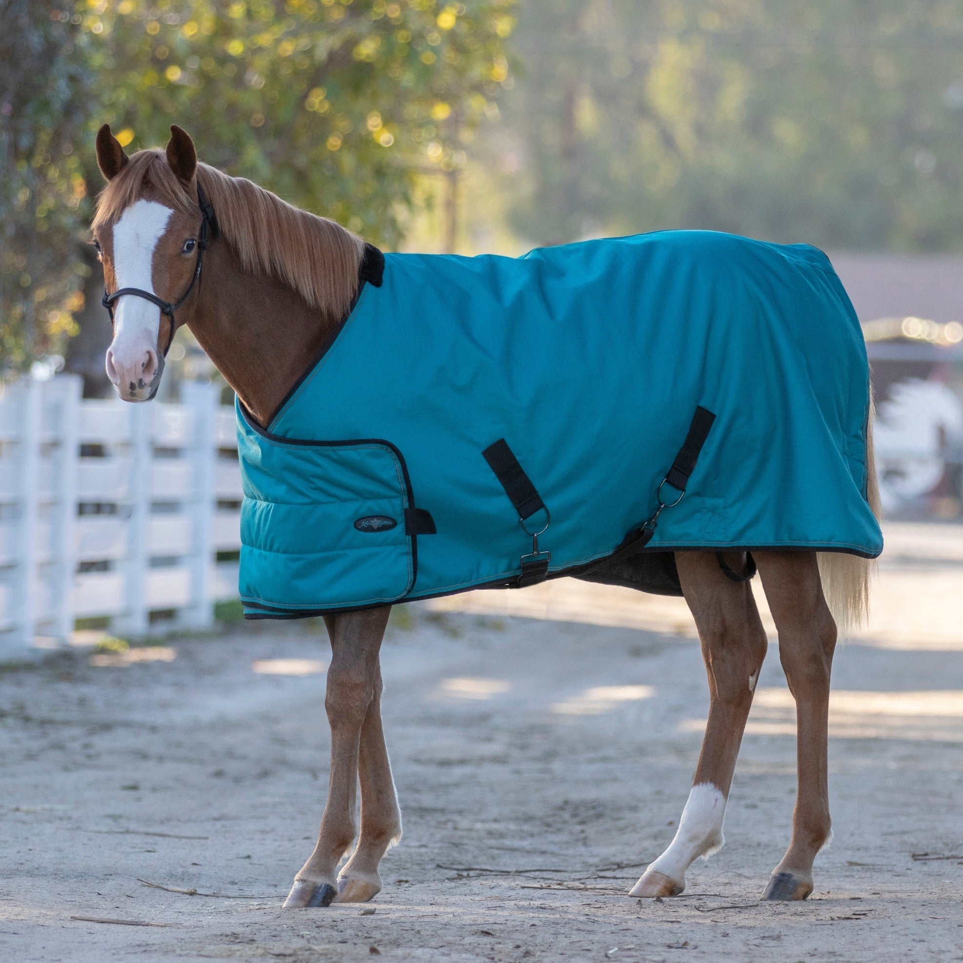 1200Denier Adjustable Weanling "180G" Medium Weight Waterproof & Breathable Winter Turnout - Kensington Protective Products - Equiluxe Tack