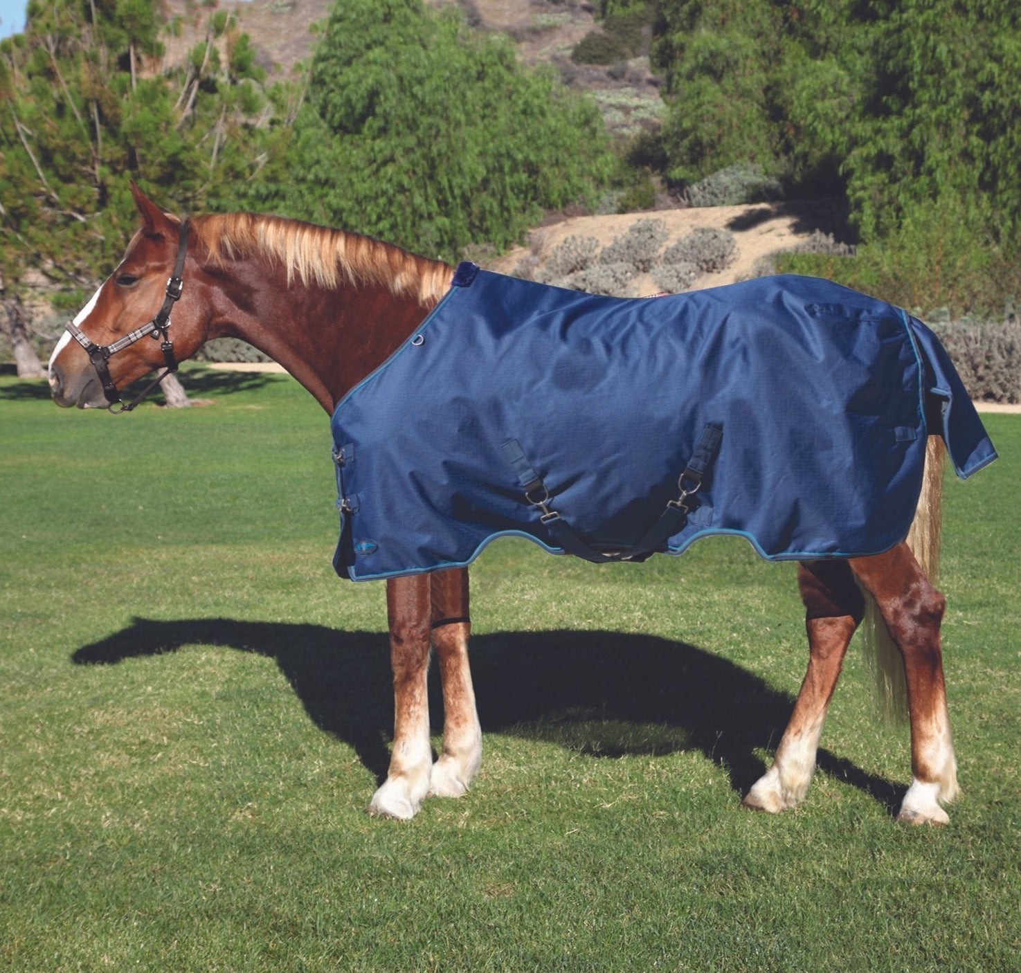 1200Denier Draft "180G" Medium Weight Waterproof & Breathable Winter Turnout - Kensington Protective Products - Equiluxe Tack