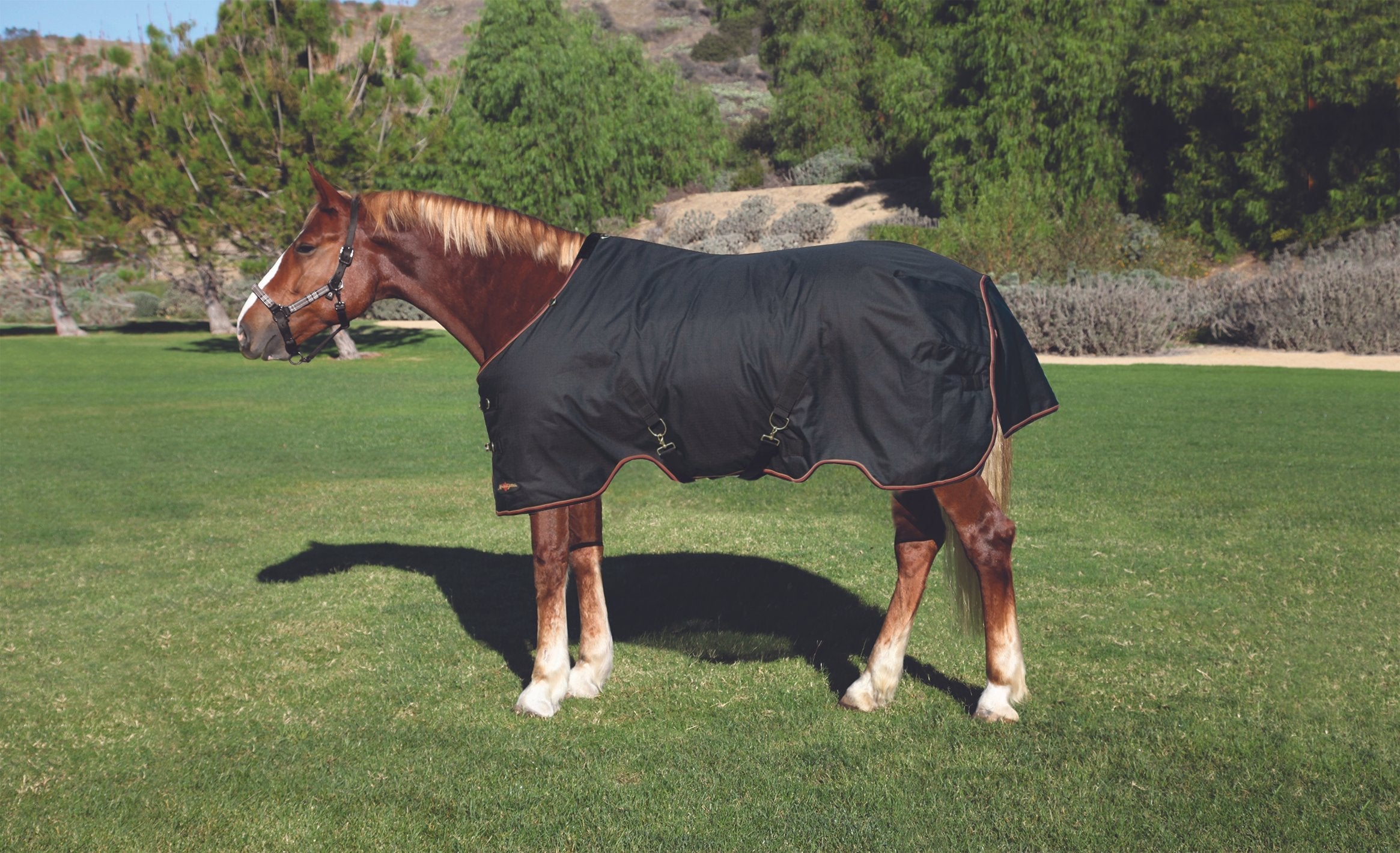 1200Denier Draft "180G" Medium Weight Waterproof & Breathable Winter Turnout - Kensington Protective Products - Equiluxe Tack