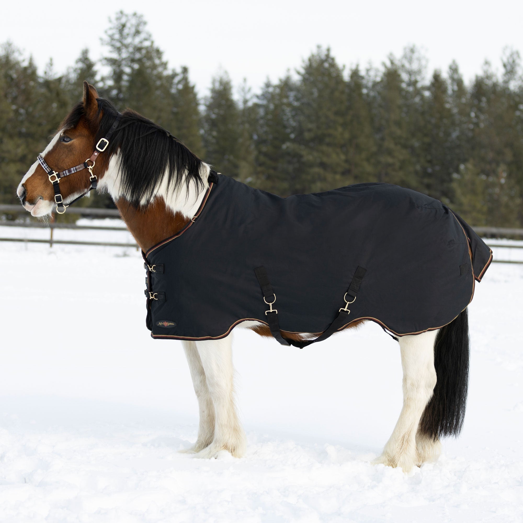 1200Denier Draft "180G" Medium Weight Waterproof & Breathable Winter Turnout - Kensington Protective Products - Equiluxe Tack