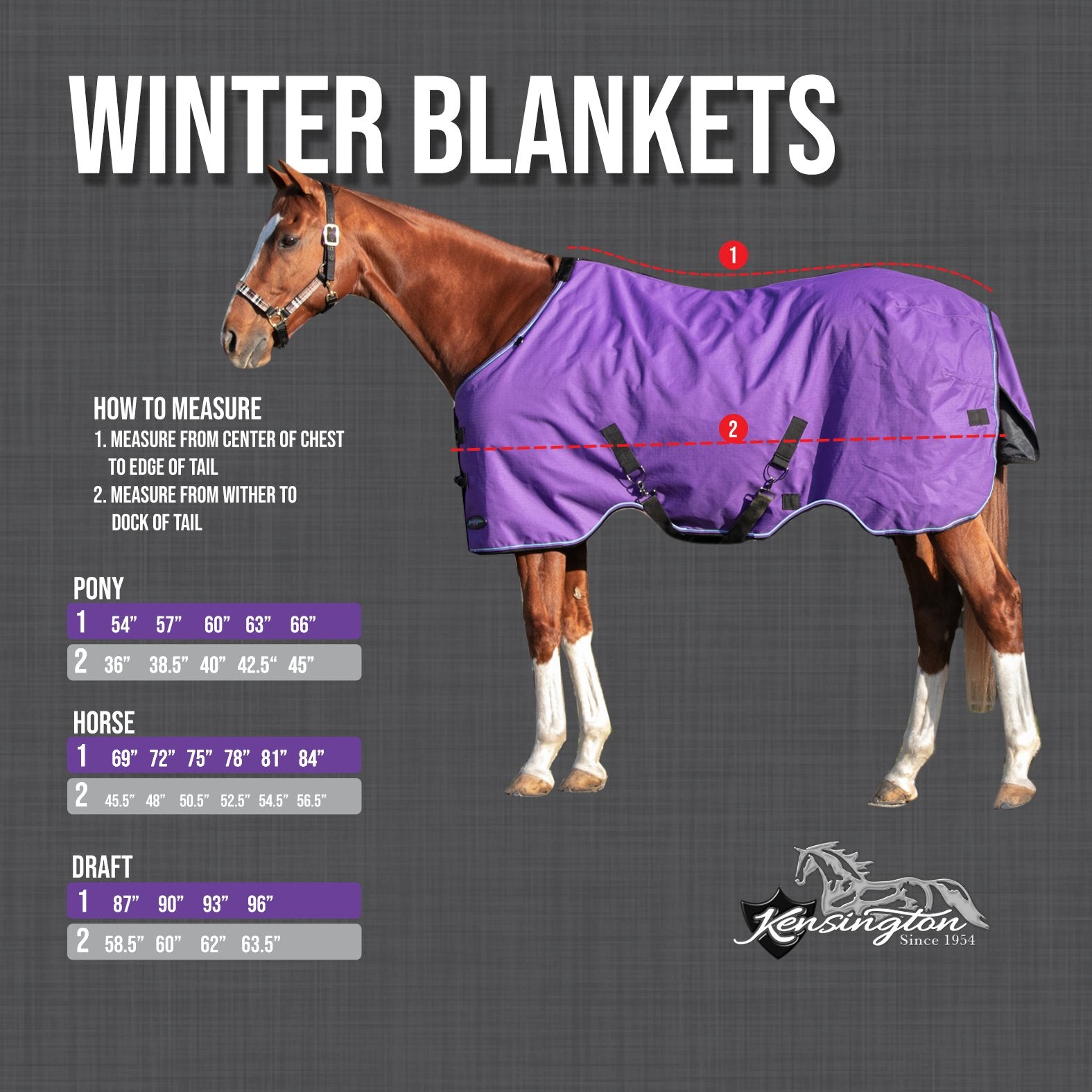 1200Denier Draft "180G" Medium Weight Waterproof & Breathable Winter Turnout - Kensington Protective Products - Equiluxe Tack