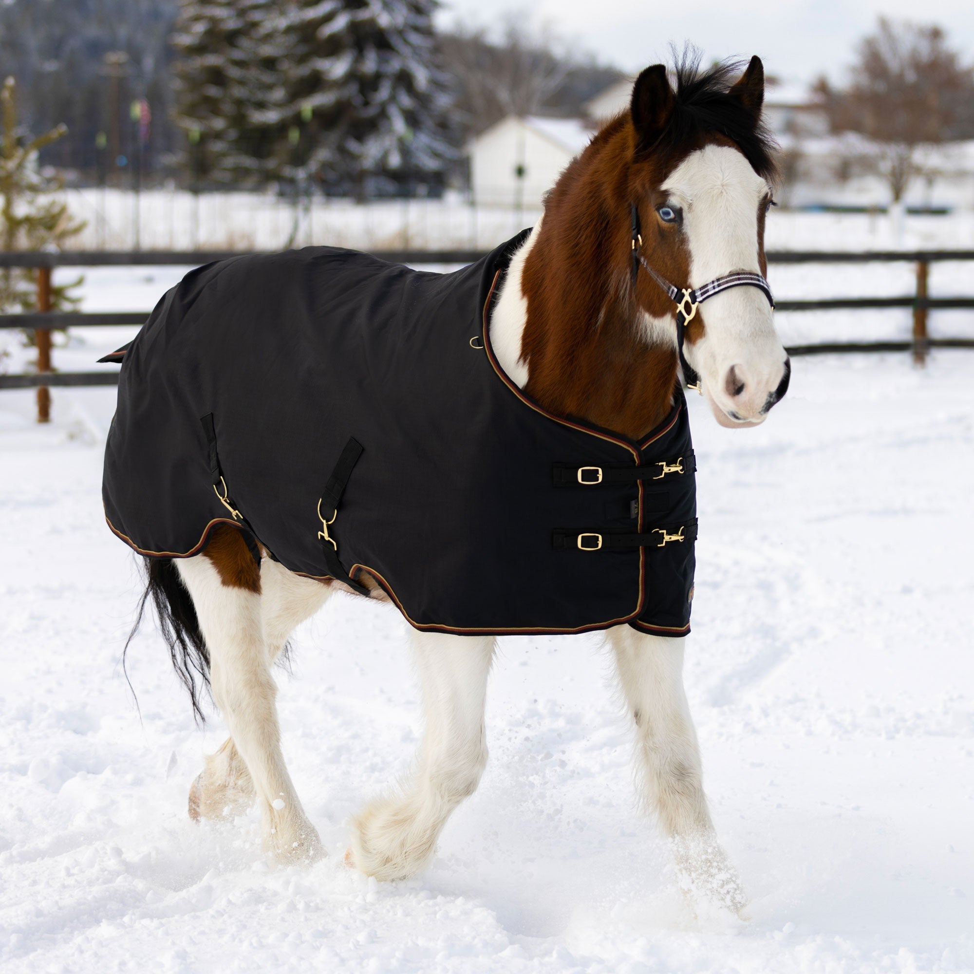 1200Denier Draft "180G" Medium Weight Waterproof & Breathable Winter Turnout - Kensington Protective Products - Equiluxe Tack