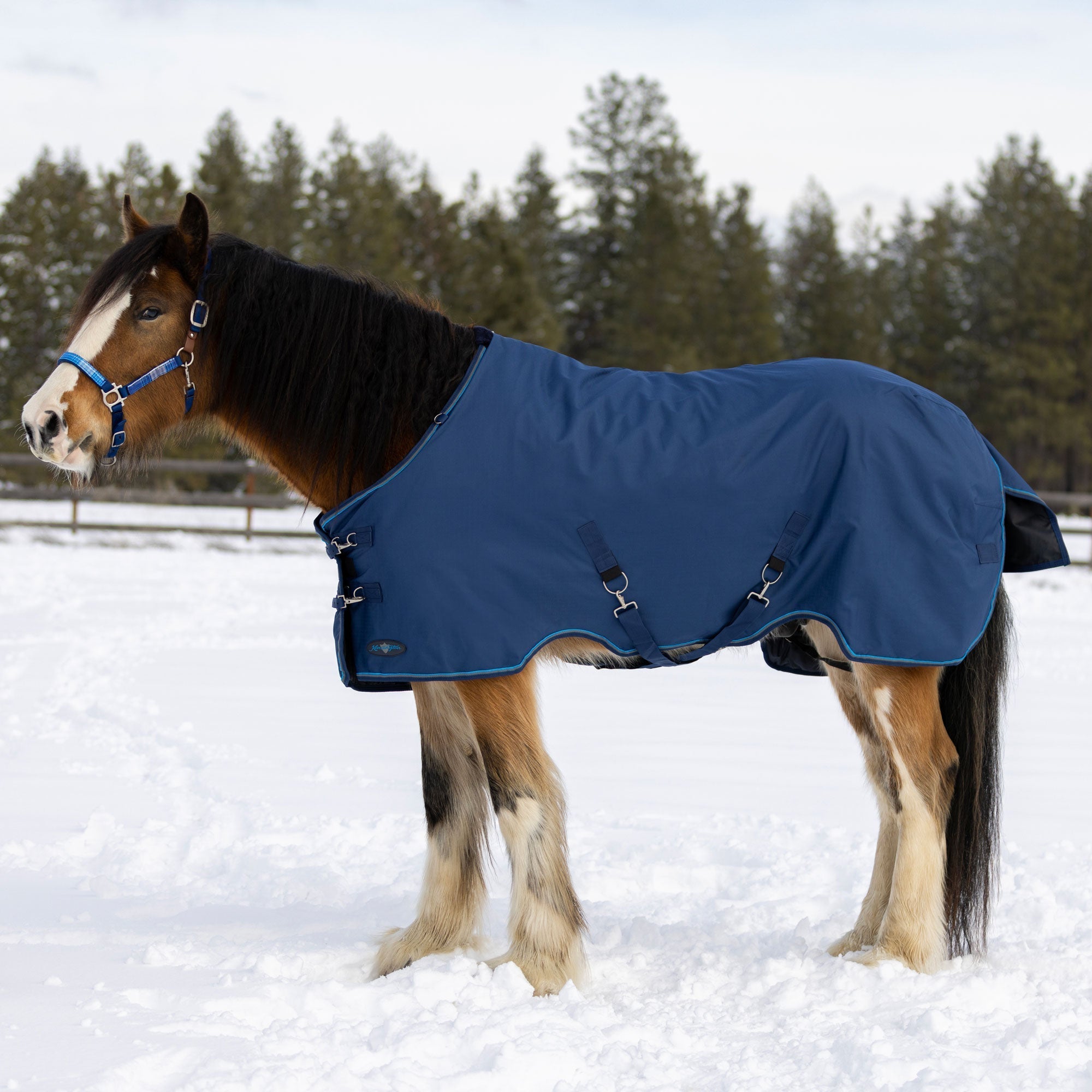 1200Denier Draft "180G" Medium Weight Waterproof & Breathable Winter Turnout - Kensington Protective Products - Equiluxe Tack