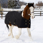 1200Denier Draft "300G" Heavy Weight Waterproof & Breathable Winter Turnout - Kensington Protective Products - Equiluxe Tack