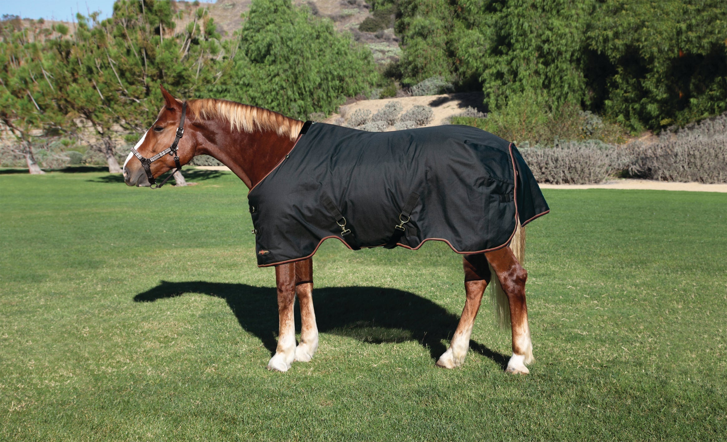 1200Denier Draft "80G" Ultra Light Weight Waterproof & Breathable Winter Turnout - Kensington Protective Products - Equiluxe Tack