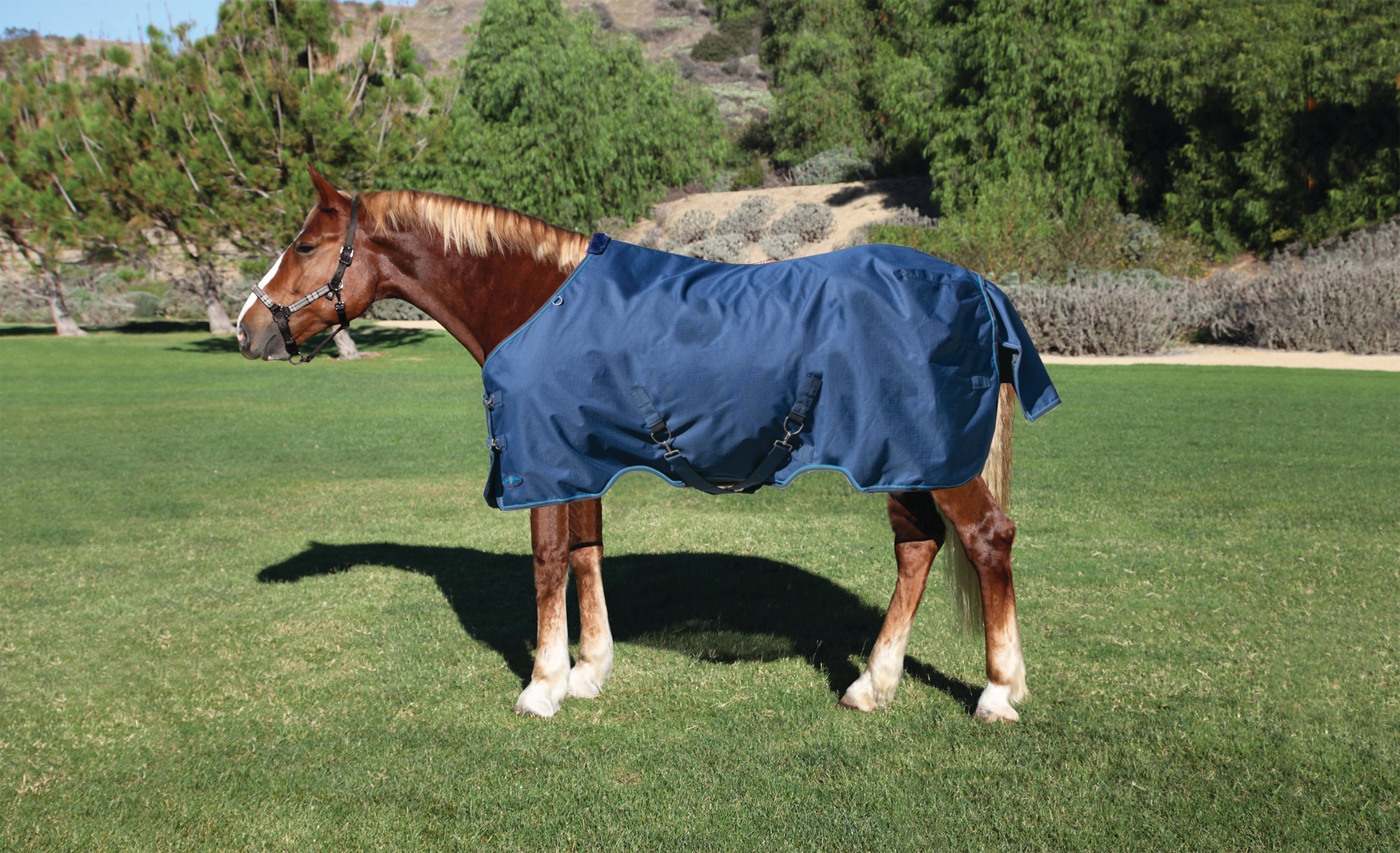 1200Denier Draft "80G" Ultra Light Weight Waterproof & Breathable Winter Turnout - Kensington Protective Products - Equiluxe Tack