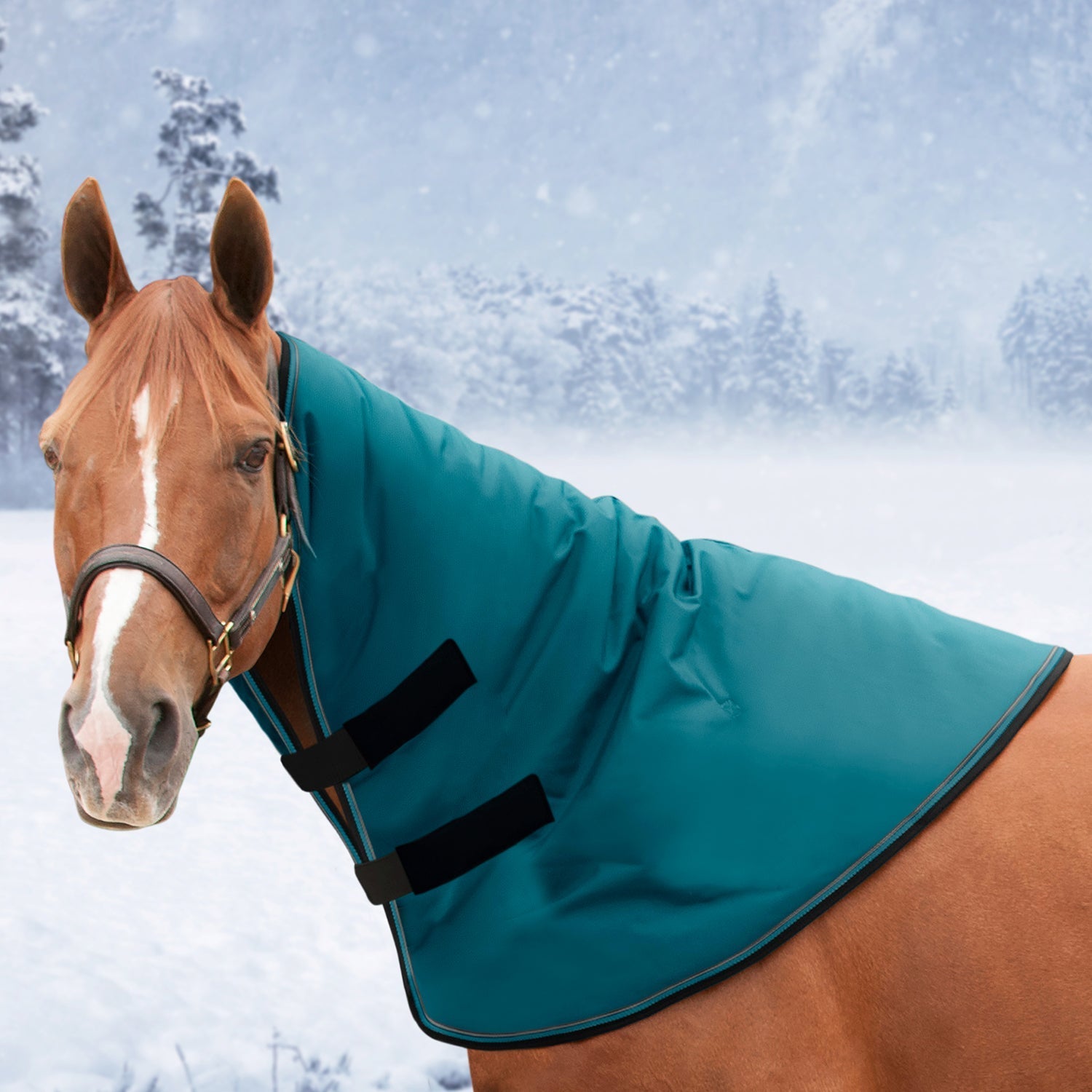 1200Denier Horse "180G" Medium Weight Waterproof & Breathable Winter Neck Warmer - Kensington Protective Products - Equiluxe Tack