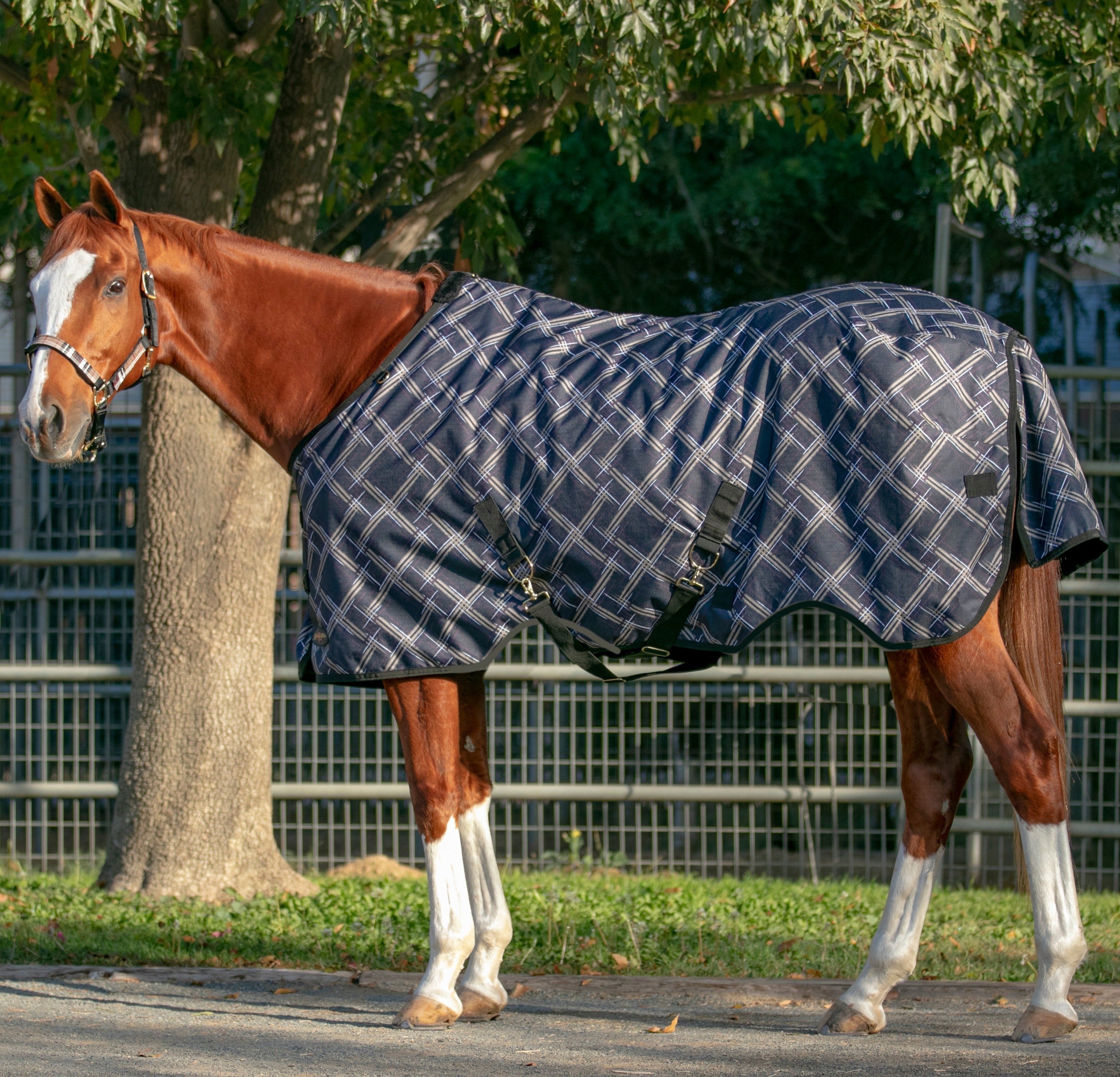 1200Denier Horse "180G" Medium Weight Waterproof & Breathable Winter Turnout - Kensington Protective Products - Equiluxe Tack