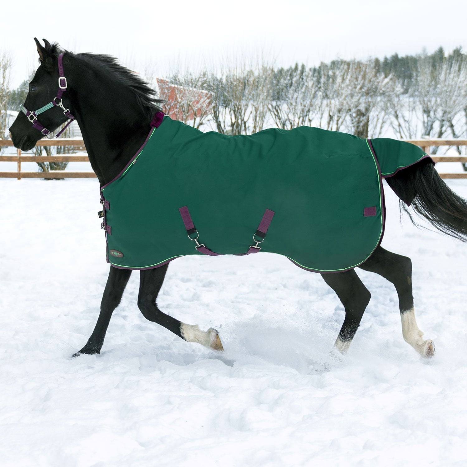 1200Denier Horse "180G" Medium Weight Waterproof & Breathable Winter Turnout - Kensington Protective Products - Equiluxe Tack