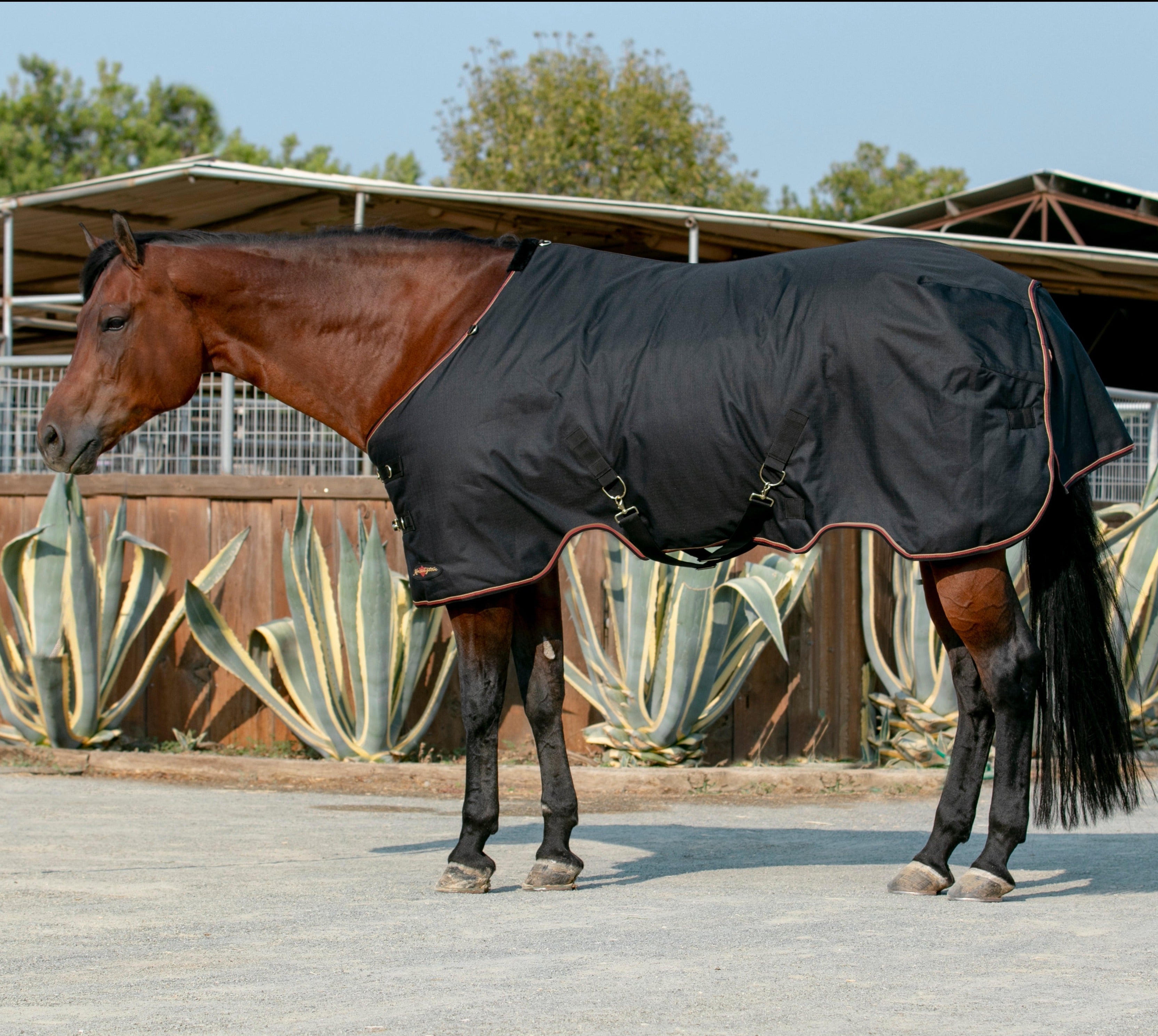 1200Denier Horse "180G" Medium Weight Waterproof & Breathable Winter Turnout - Kensington Protective Products - Equiluxe Tack