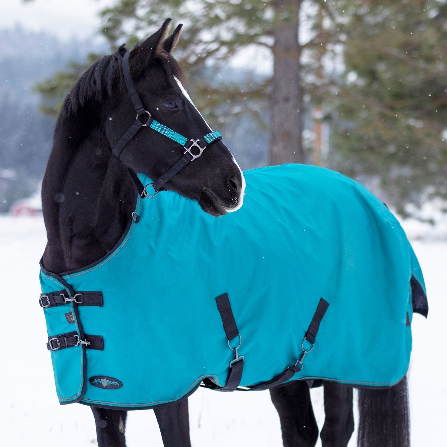 1200Denier Horse "180G" Medium Weight Waterproof & Breathable Winter Turnout - Kensington Protective Products - Equiluxe Tack