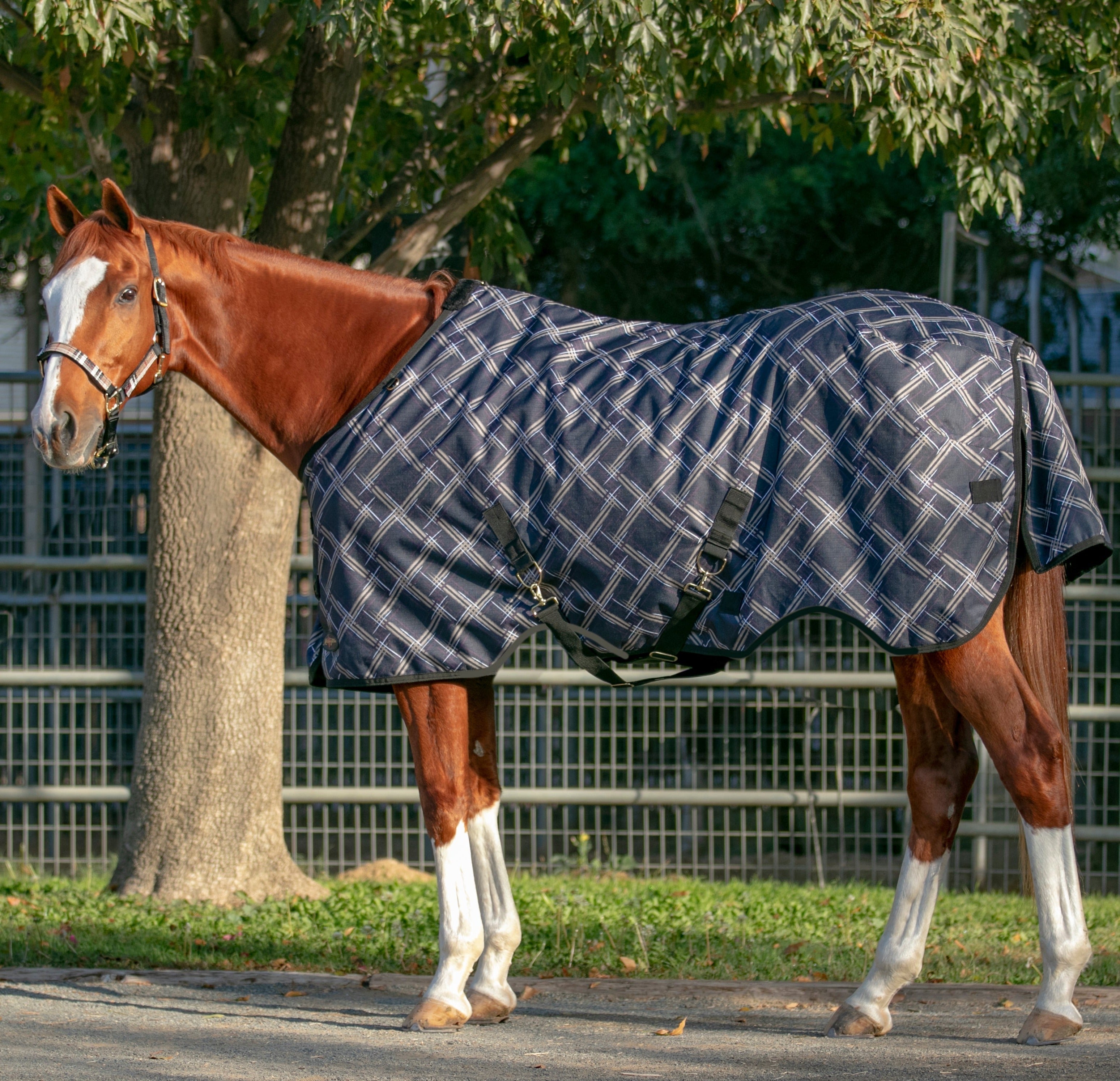 1200Denier Horse "300G" Heavy Weight Waterproof & Breathable Winter Turnout - Kensington Protective Products - Equiluxe Tack