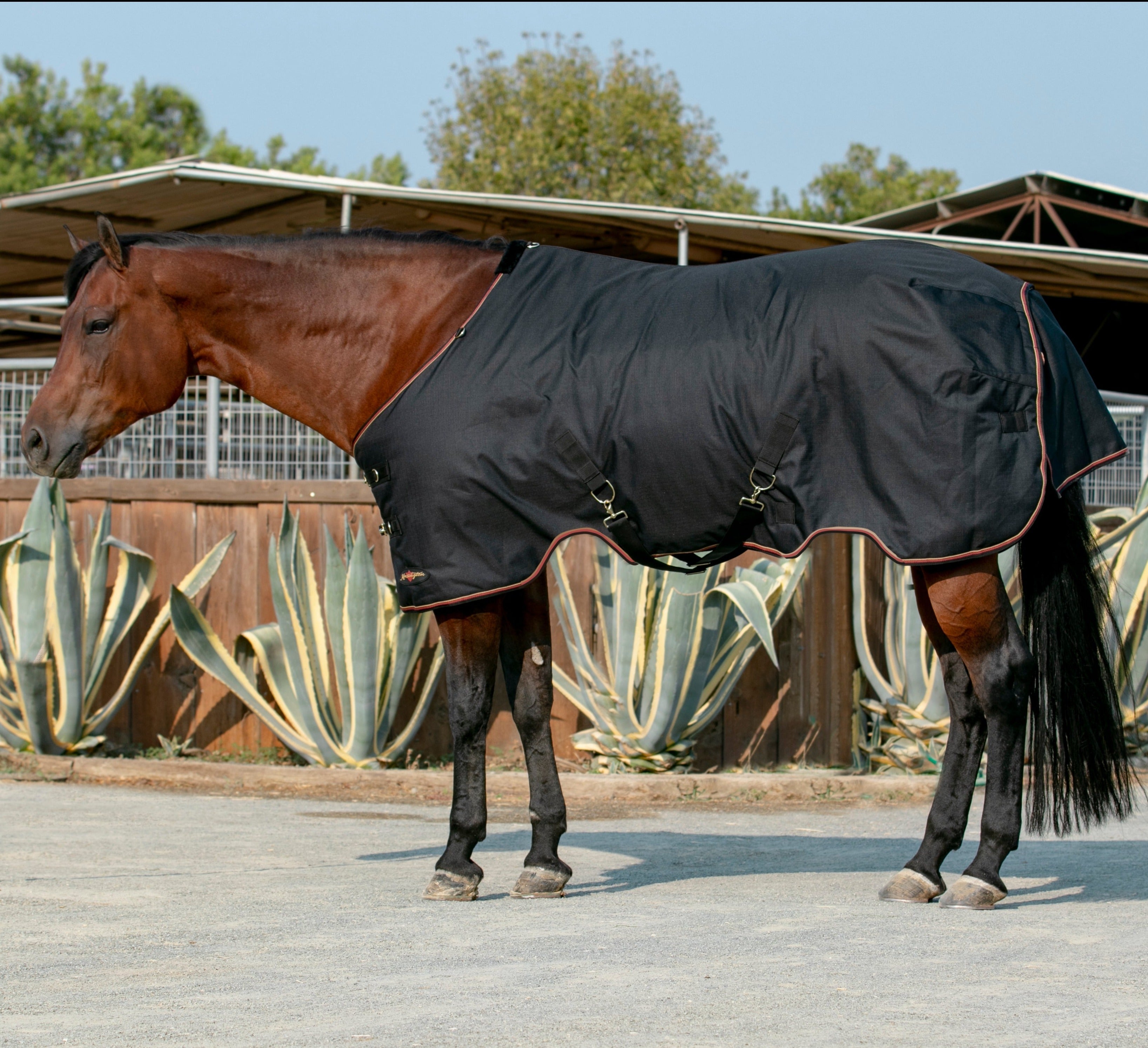 1200Denier Horse "300G" Heavy Weight Waterproof & Breathable Winter Turnout - Kensington Protective Products - Equiluxe Tack