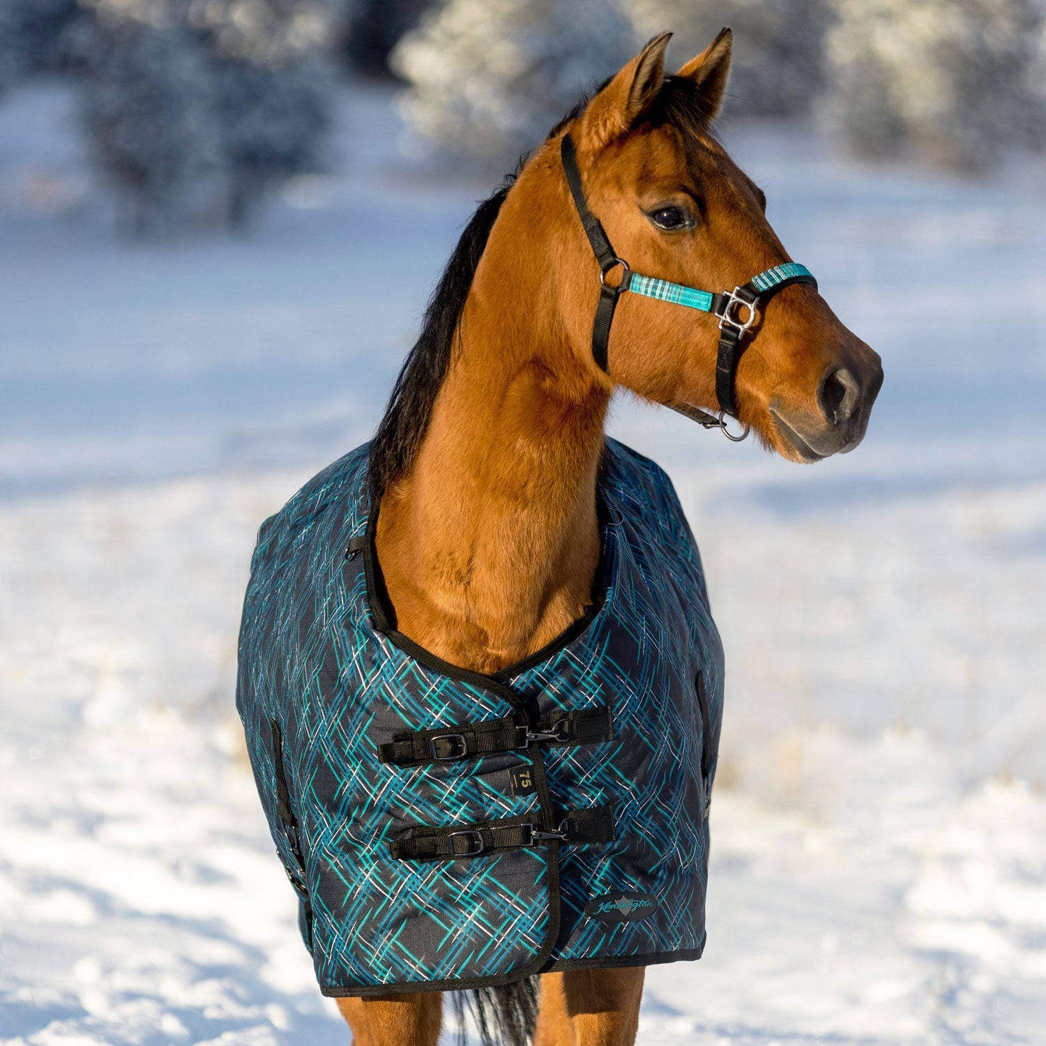 1200Denier Horse "300G" Heavy Weight Waterproof & Breathable Winter Turnout - Kensington Protective Products - Equiluxe Tack