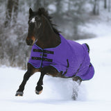 1200Denier Horse "300G" Heavy Weight Waterproof & Breathable Winter Turnout - Kensington Protective Products - Equiluxe Tack