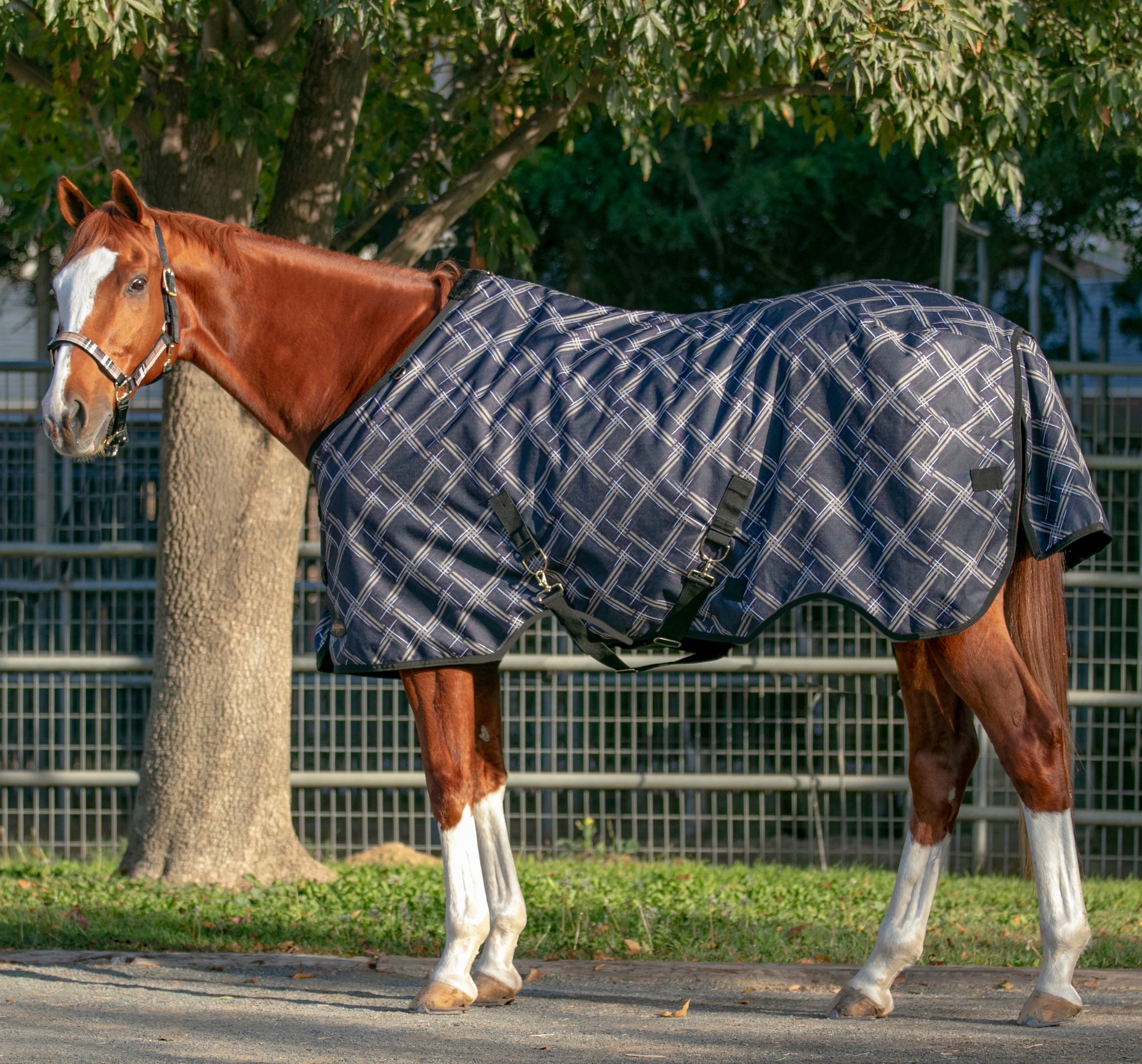 1200Denier Horse "80G" Ultra Light Weight Waterproof & Breathable Winter Turnout - Kensington Protective Products - Equiluxe Tack