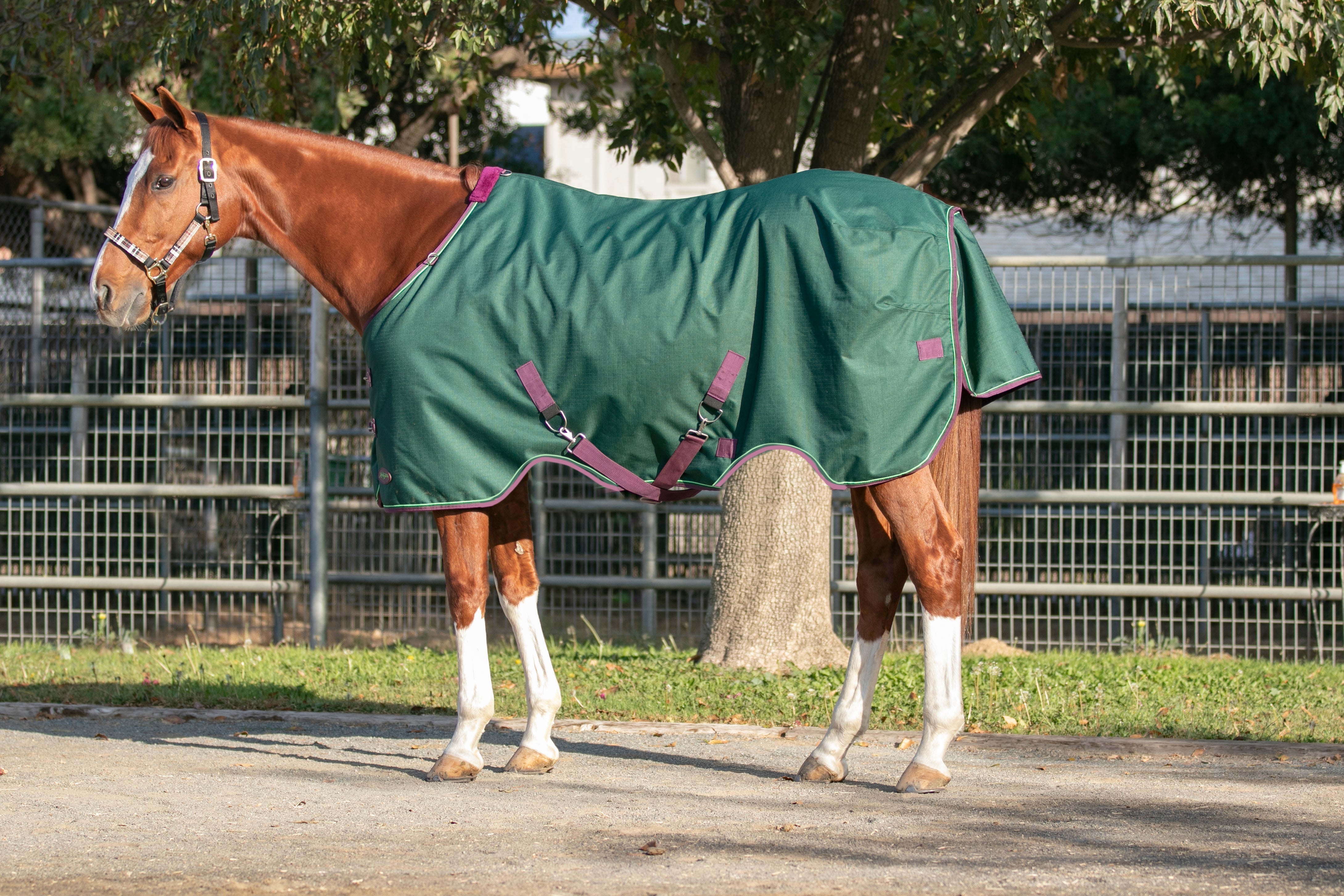 1200Denier Horse "80G" Ultra Light Weight Waterproof & Breathable Winter Turnout - Kensington Protective Products - Equiluxe Tack