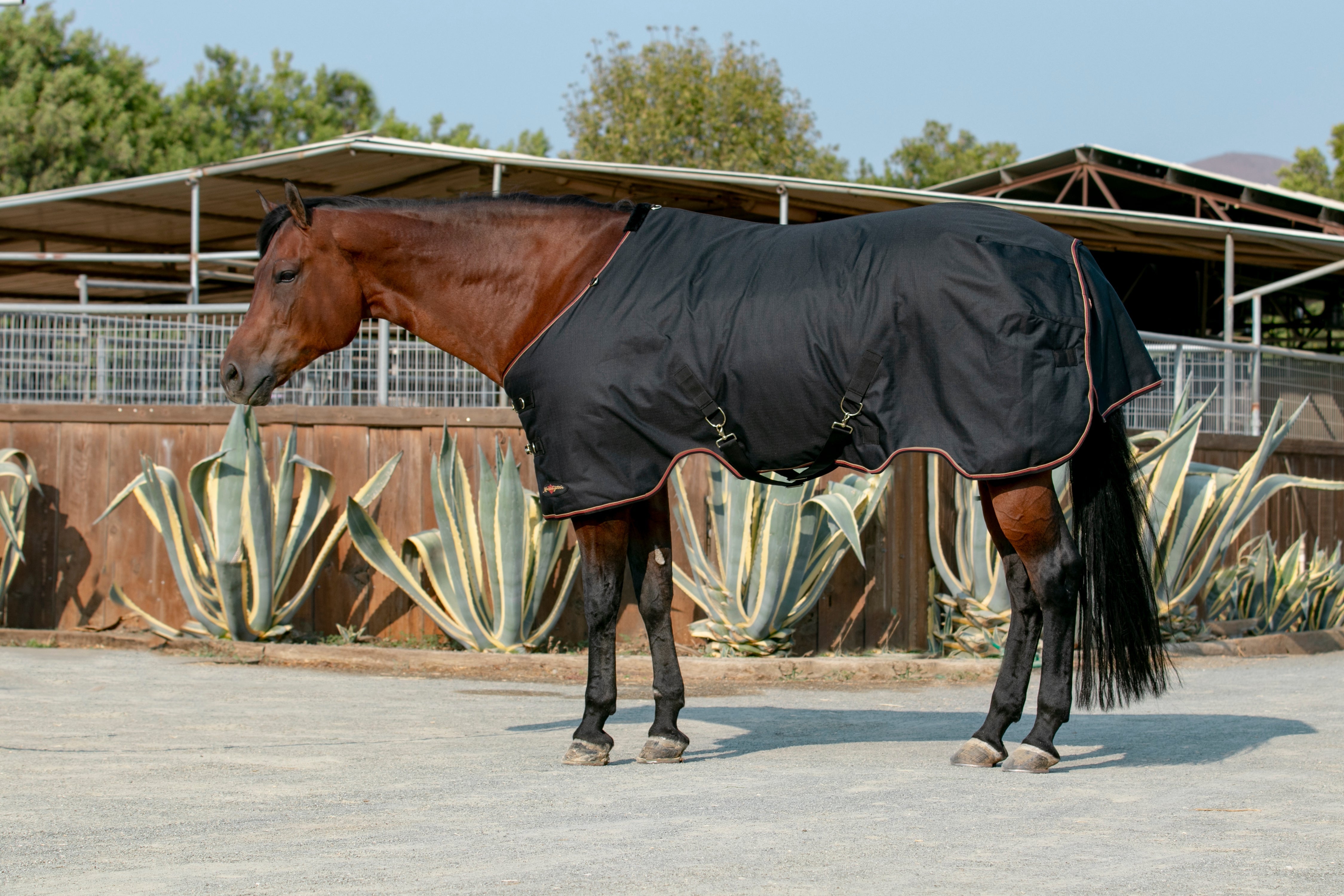 1200Denier Horse "80G" Ultra Light Weight Waterproof & Breathable Winter Turnout - Kensington Protective Products - Equiluxe Tack