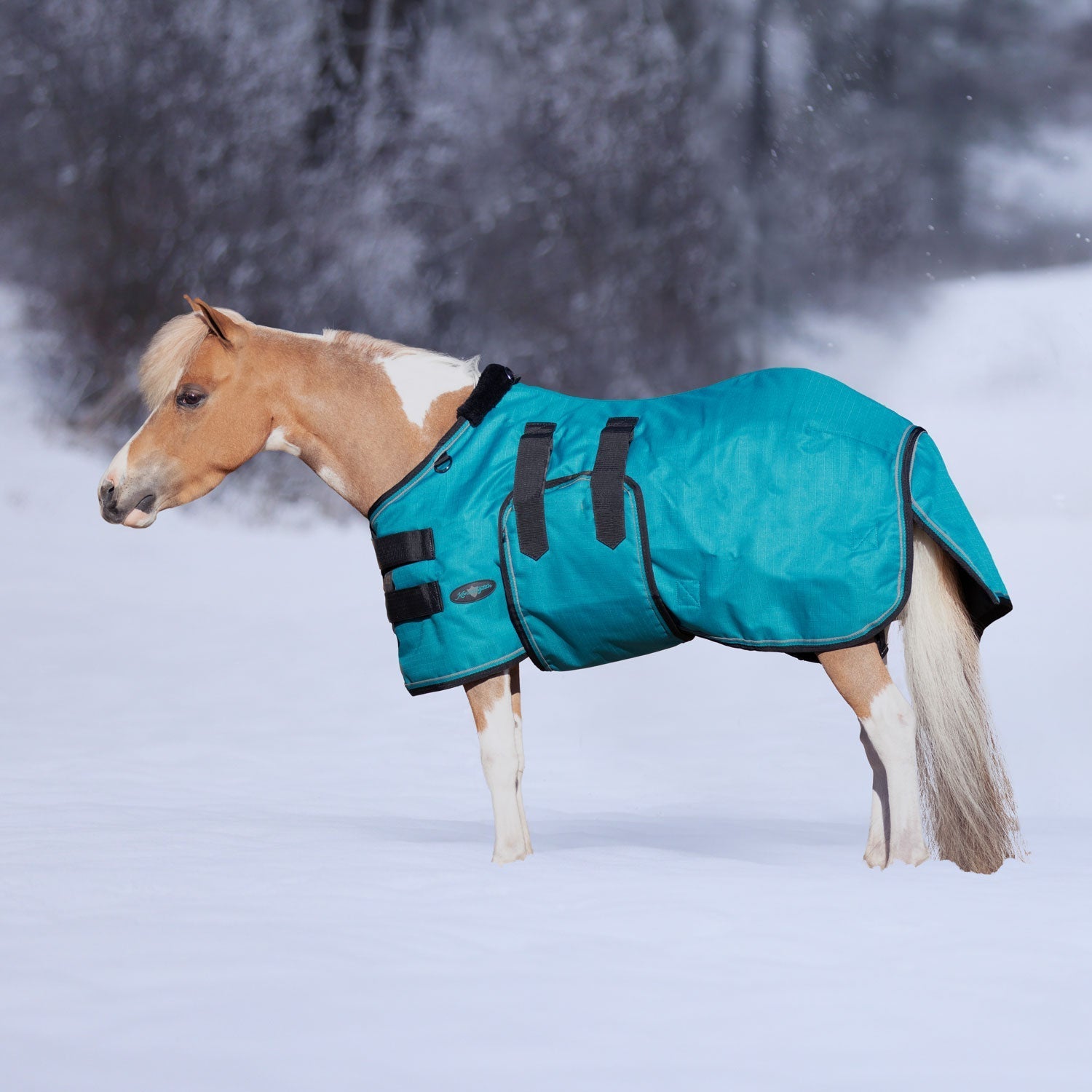 1200Denier Mini "180G" Medium Weight Waterproof & Breathable Winter Turnout - Kensington Protective Products - Equiluxe Tack