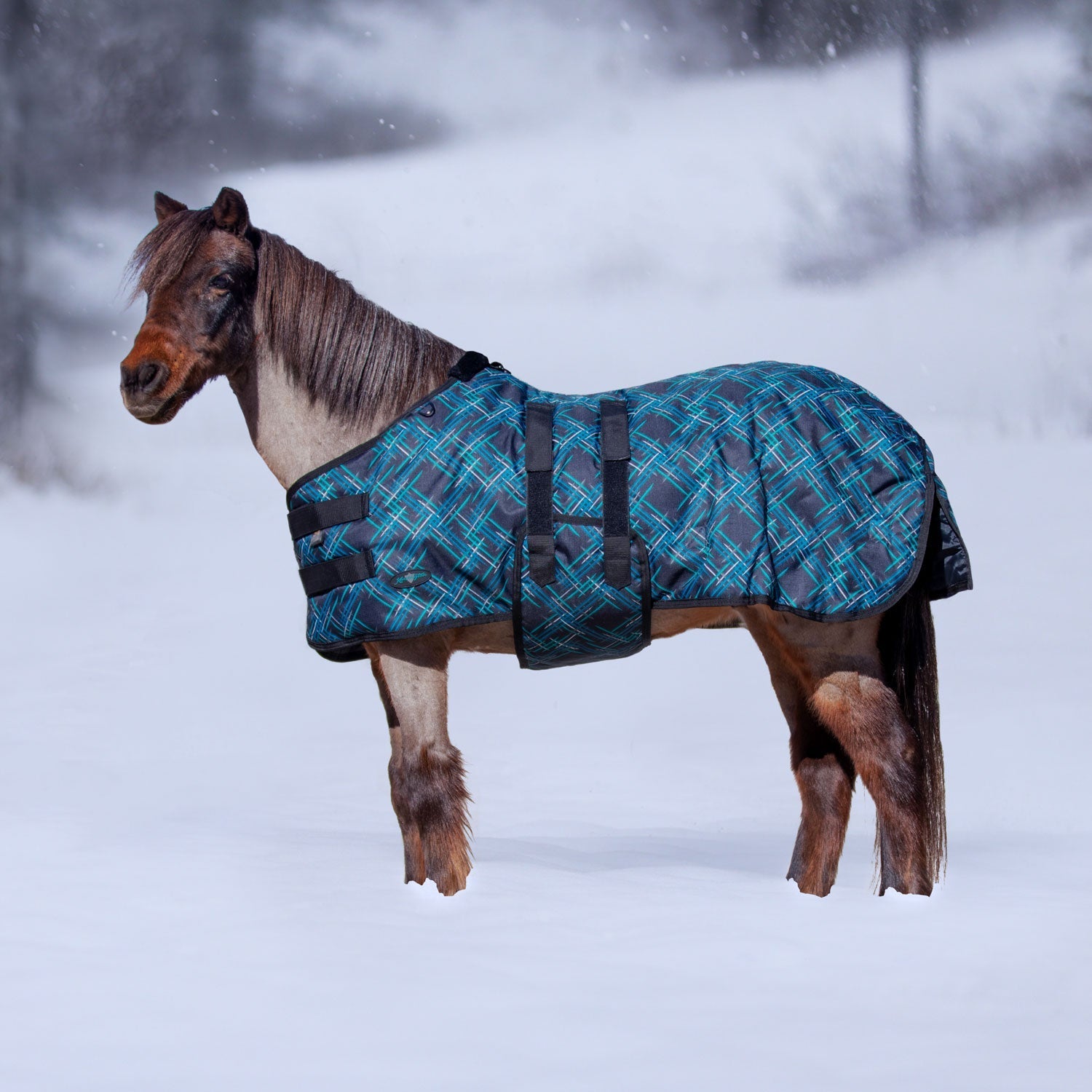 1200Denier Mini "180G" Medium Weight Waterproof & Breathable Winter Turnout - Kensington Protective Products - Equiluxe Tack