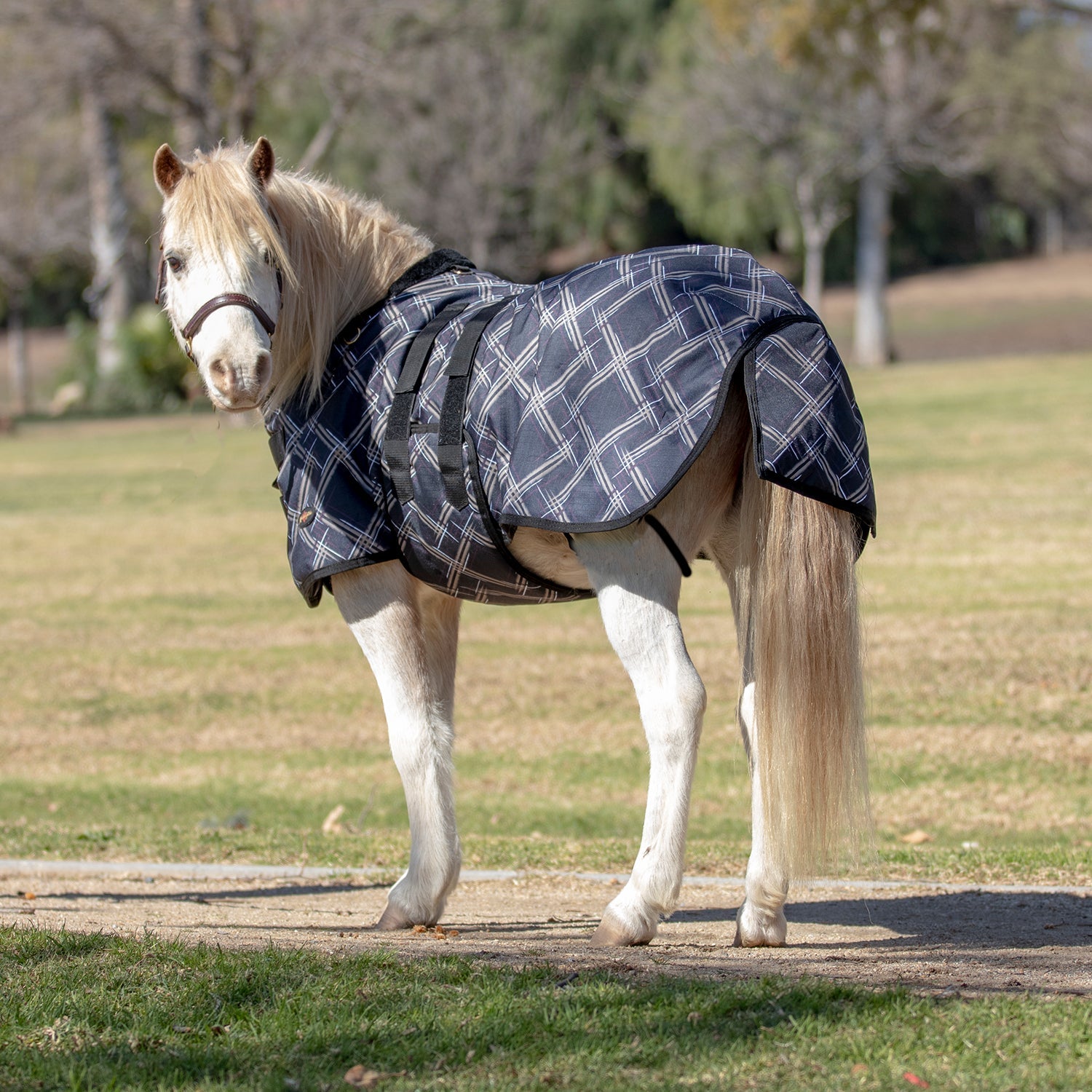 1200Denier Mini "180G" Medium Weight Waterproof & Breathable Winter Turnout - Kensington Protective Products - Equiluxe Tack