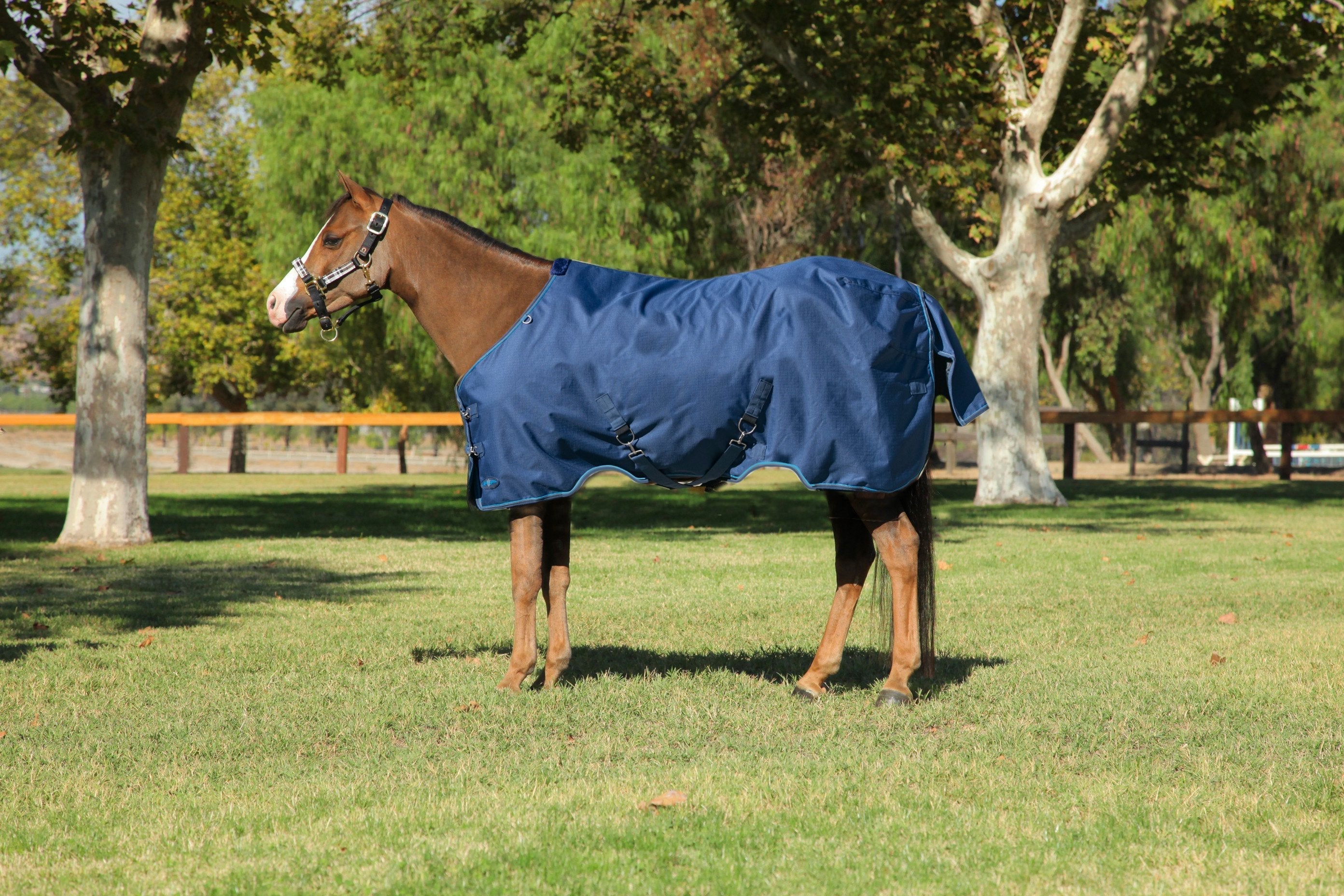 1200Denier Pony "180G" Medium Weight Waterproof & Breathable Winter Turnout - Kensington Protective Products - Equiluxe Tack