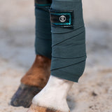 PS of Sweden Dazzling Holiday Polos - Mystique Green