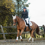 Snowlight Saddle Pad Set