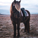 Rose Quartz Saddle Pad