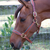 GHC Padded Halter