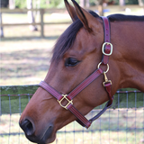 GHC Triple Stitch Halter